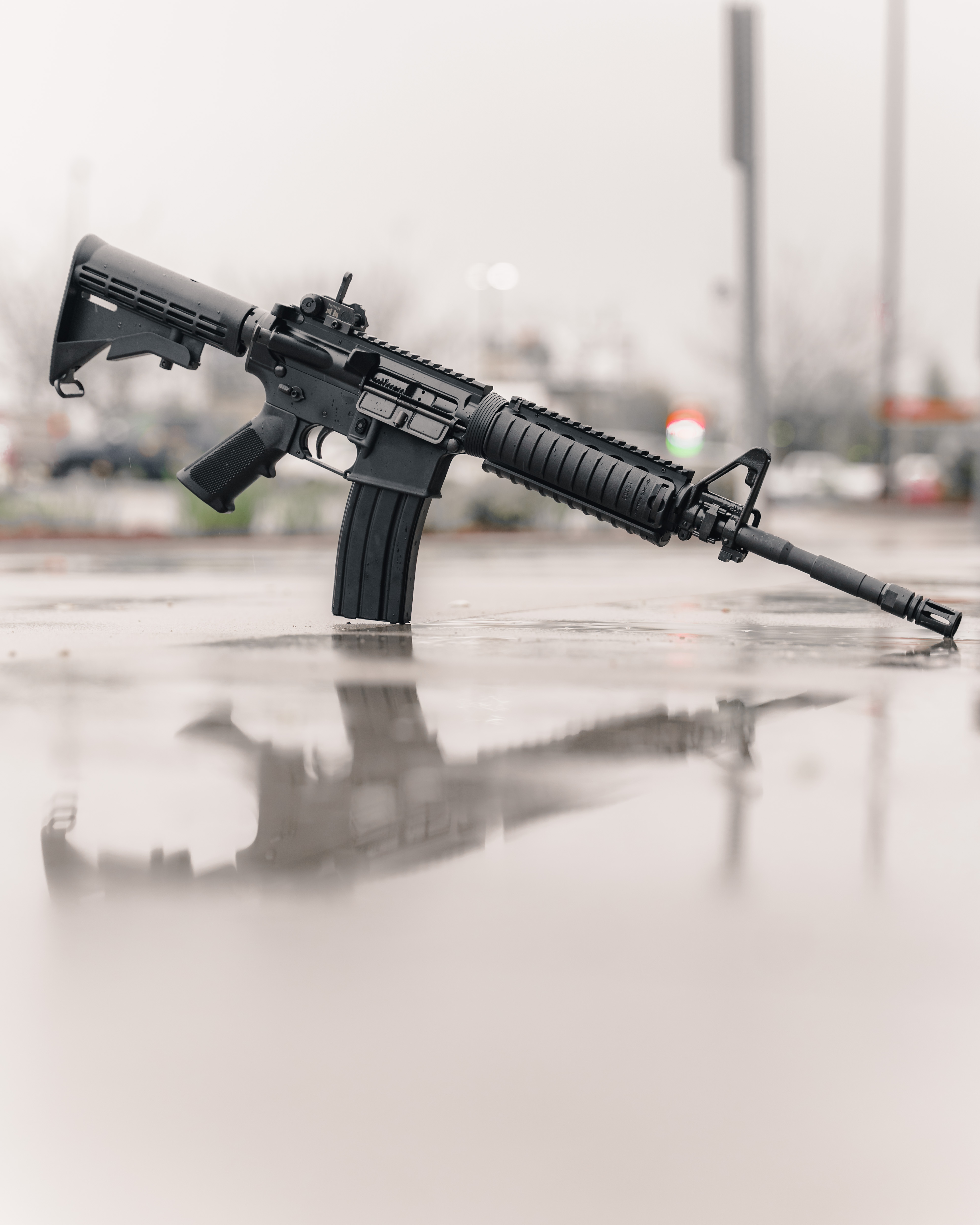 AR-15 picture by Boise Black Rifle